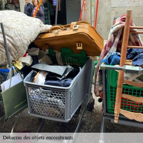 Debarras des objets encombrants -9
