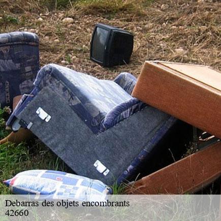 Debarras des objets encombrants -5