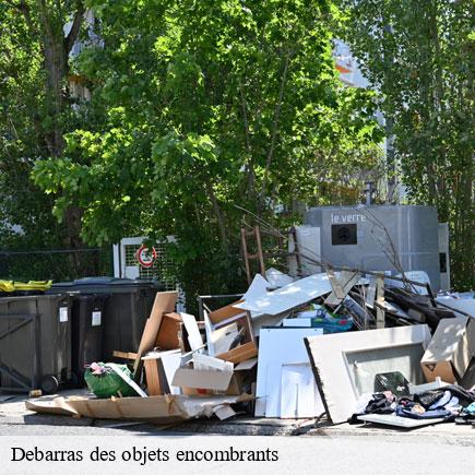 Debarras des objets encombrants -6