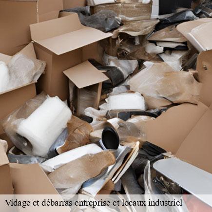 Vidage et débarras entreprise et locaux industriel-6