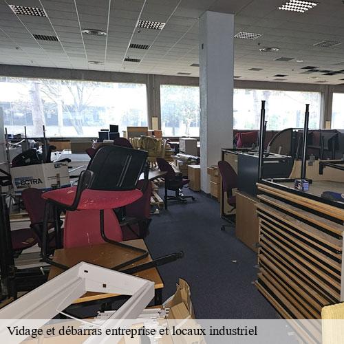 Vidage et débarras entreprise et locaux industriel-9